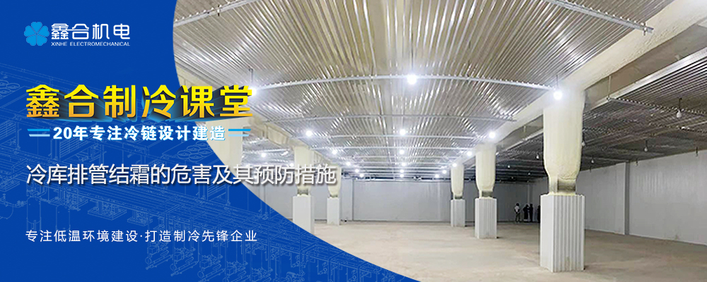 1720255254268833.jpg 10101010.jpg